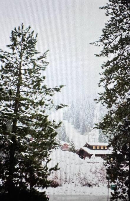 Powder & Pines Luxury Suite Whistler Exterior photo